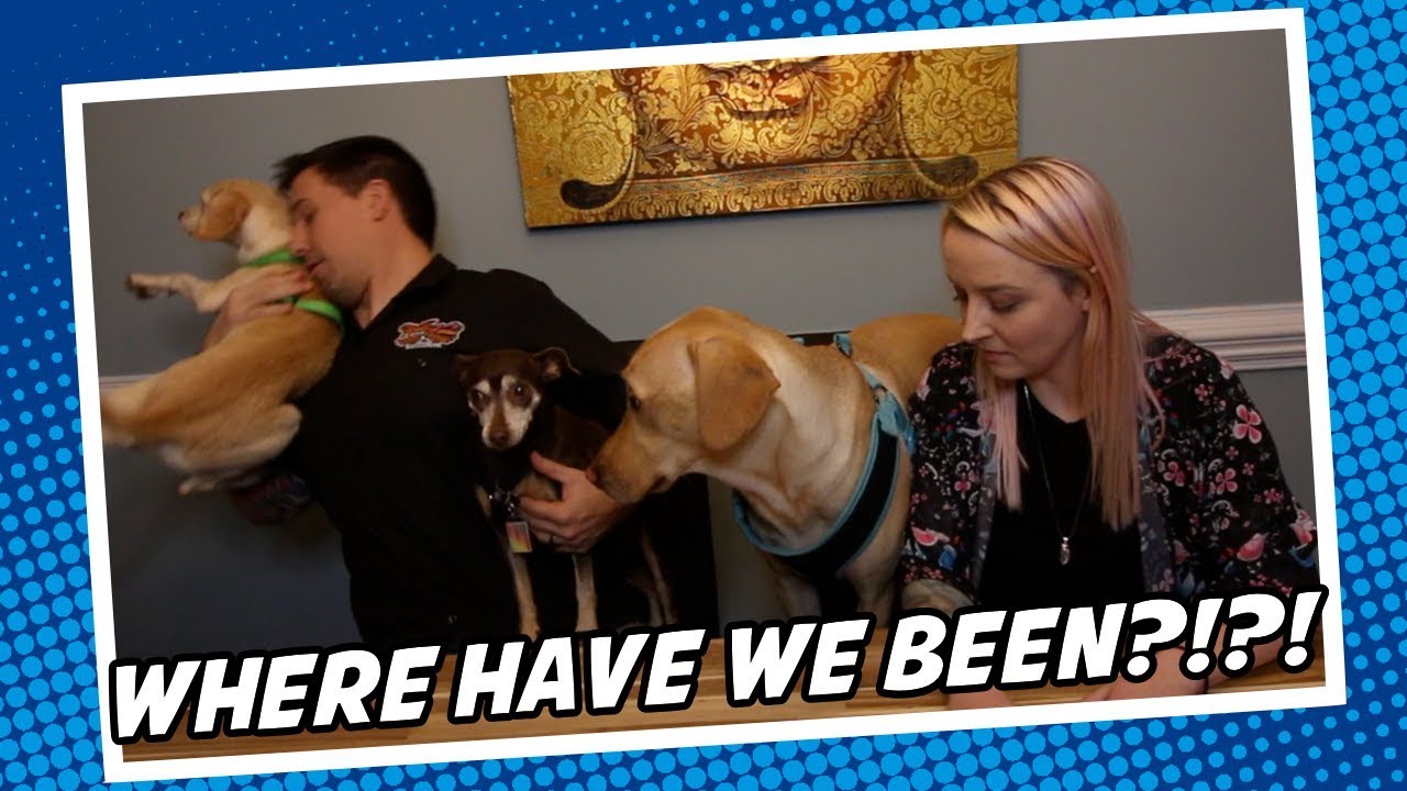 The update you've been waiting for...and more stuff!
