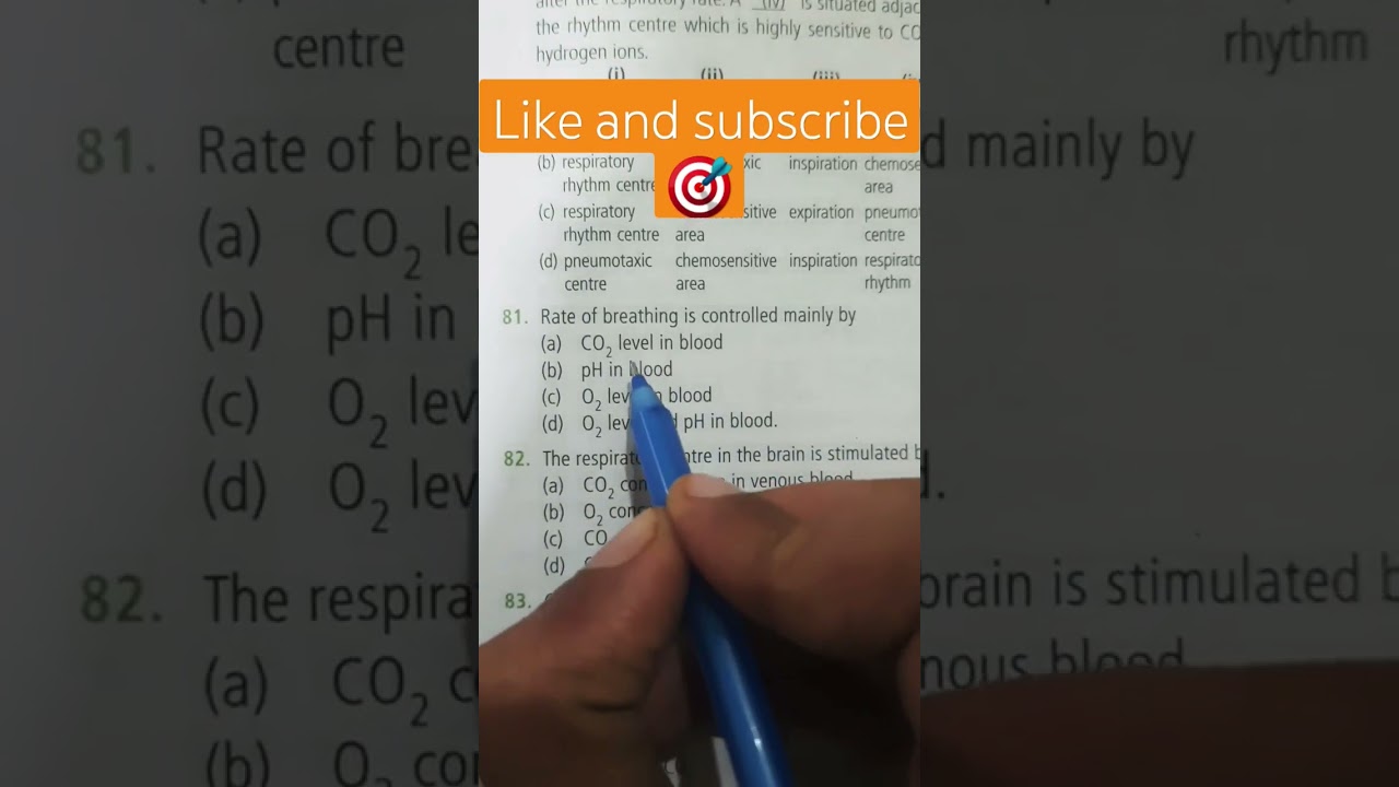 breathing and exchange of gases class 11 