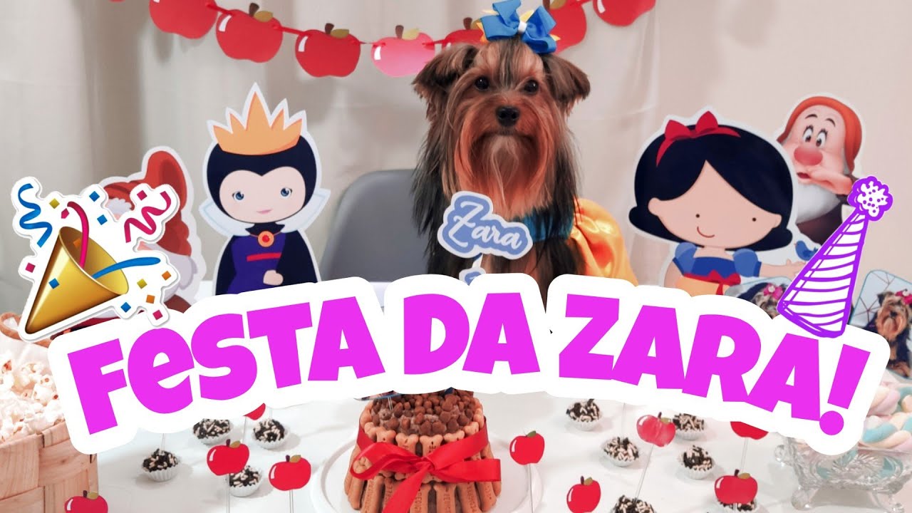 FIZ UMA FESTA DE ANIVERSÁRIO PARA O MEU CACHORRO | 1º ANO DA ZARA | FESTA PET SIMPLES!