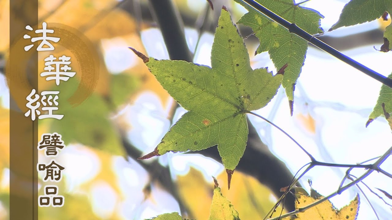 【靜思妙蓮華】法華經譬喻品 - 見思惑業 大法難投 - 20210121 第649集