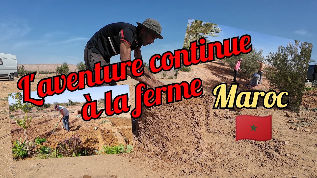 Le Maroc rural : suite de nos aventures à la ferme 🇲🇦