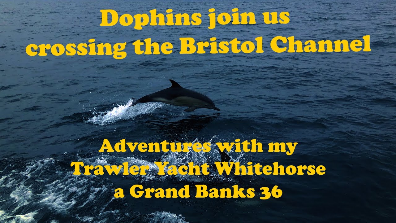 S1E08 - Dolphins join us on crossing the Bristol Channel V.2