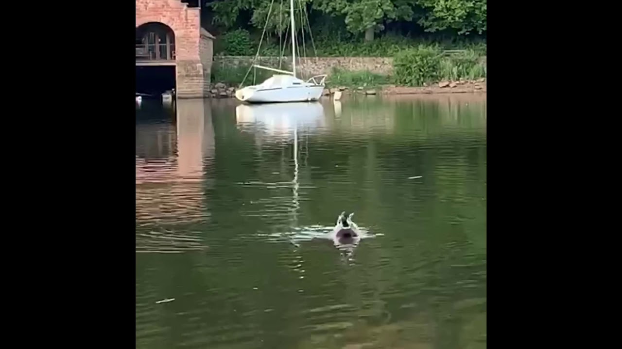 Exploring Rudyard Lake...