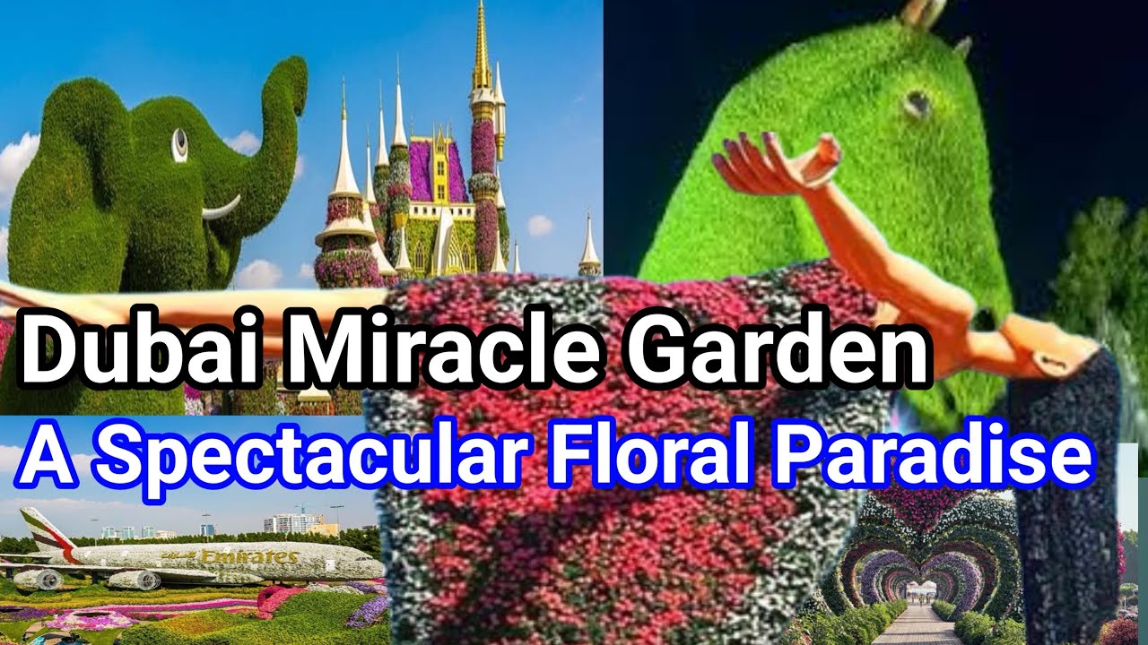 Dubai Miracle Garden: A Must-Visit Floral Wonderland You Can’t Miss!