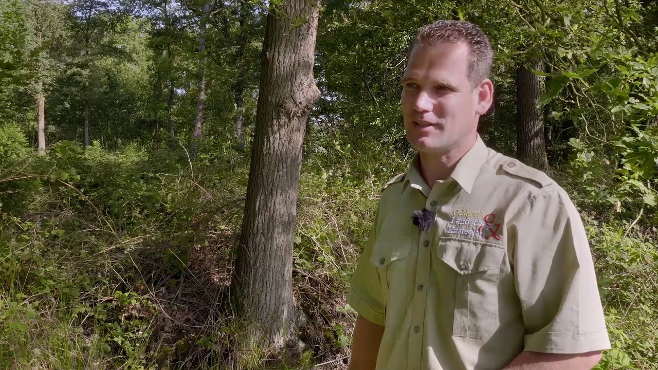 Met de boswachter door het Achterhoekse landschap