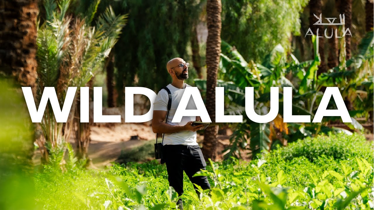 Wild AlUla: Discovering Nature’s Resilience in Saudi Arabia