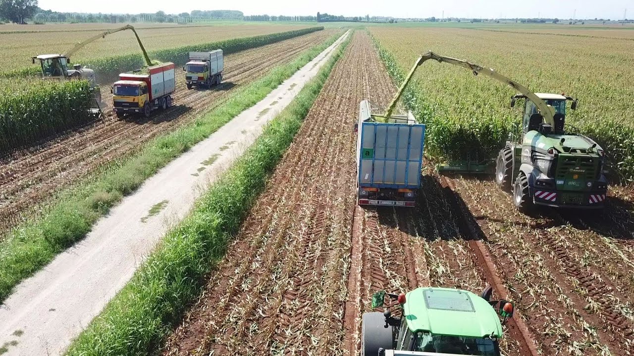 2x Krone Big X 1180 | Trinciato mais 2020 | Big Silage in Italy