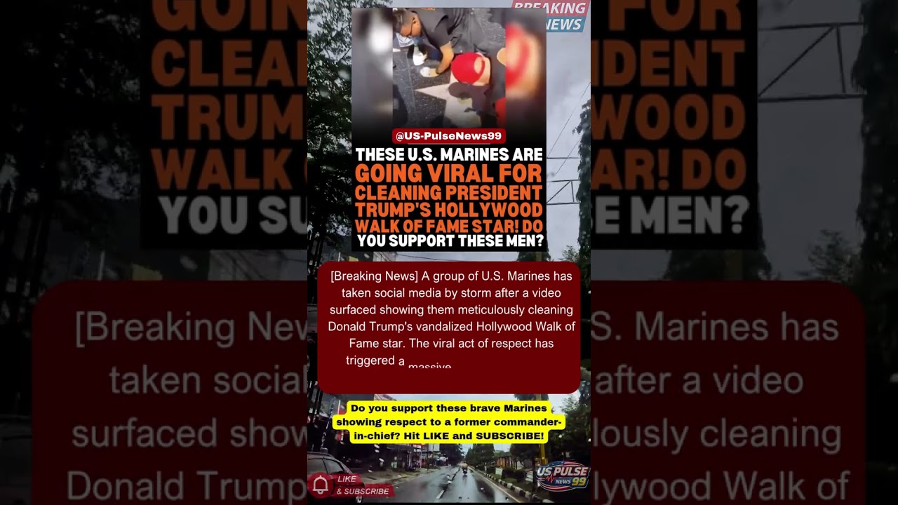 US Marines Go Viral For Cleaning Trump's Walk Of Fame Star! #Shorts #USNews #USPolitics