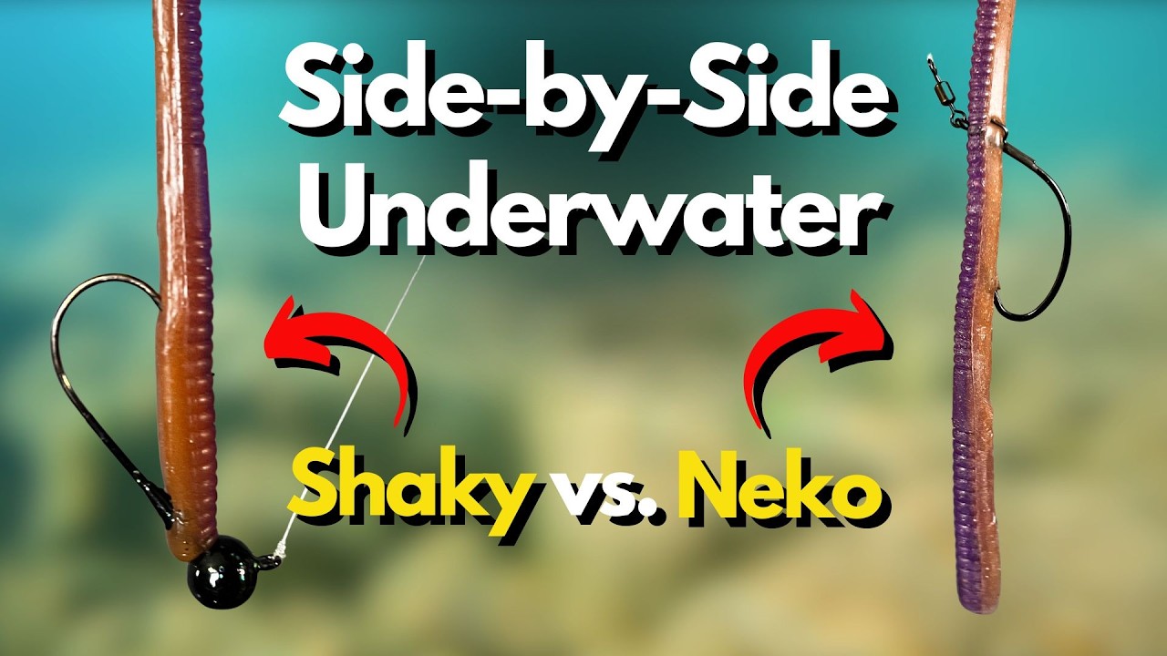 Neko против Shaky Head: подводный обзор &mdash; всё, что вам нужно знать.