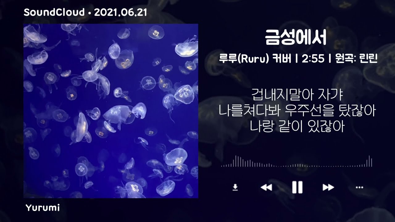 가사 | 루루(Ruru) - 금성에서 커버 | 원곡: 린린