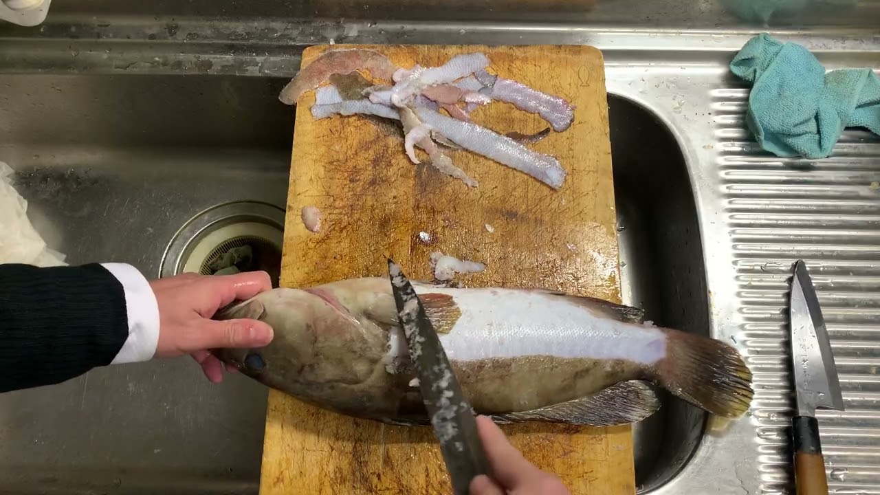 クエの下処理(すき引き、水洗い)