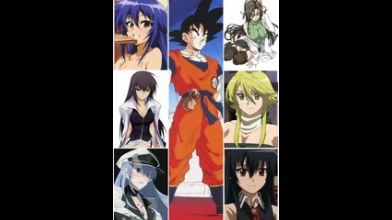 Dragon Ball Waifus Dimensional Capítulo 1 El viaje entre dimensiones