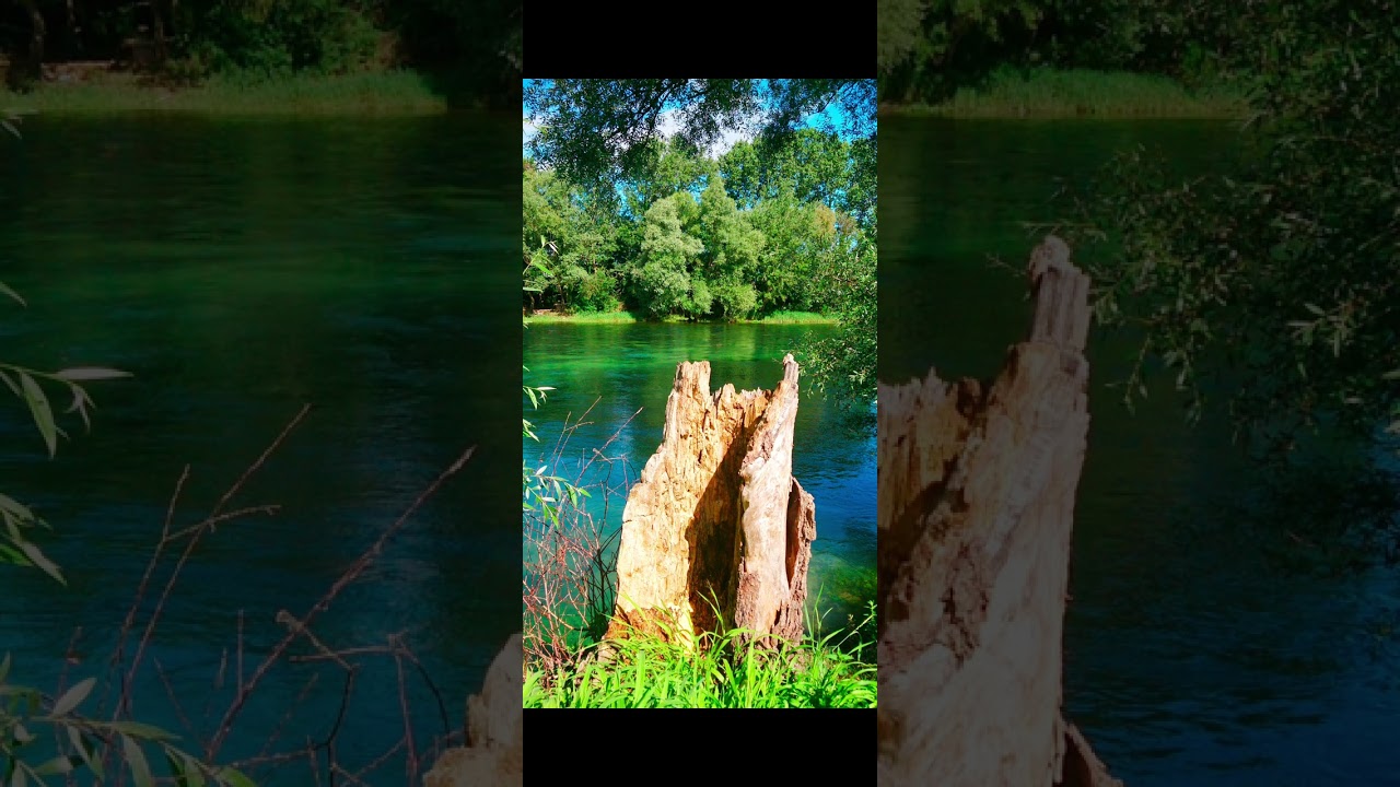 Cetina