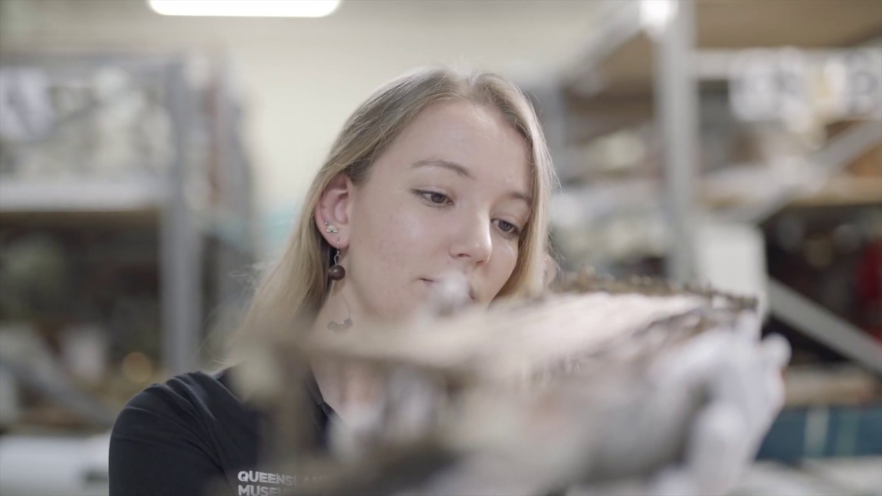 Curator's Pick | Cultures and Histories Collection | Museum of Tropical Queensland