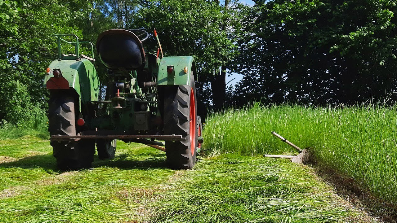 Grasmaaien 2021 met Fendt F15 Dieselross met Busatis maaibalk | hay mowing | hay making | gras mähen
