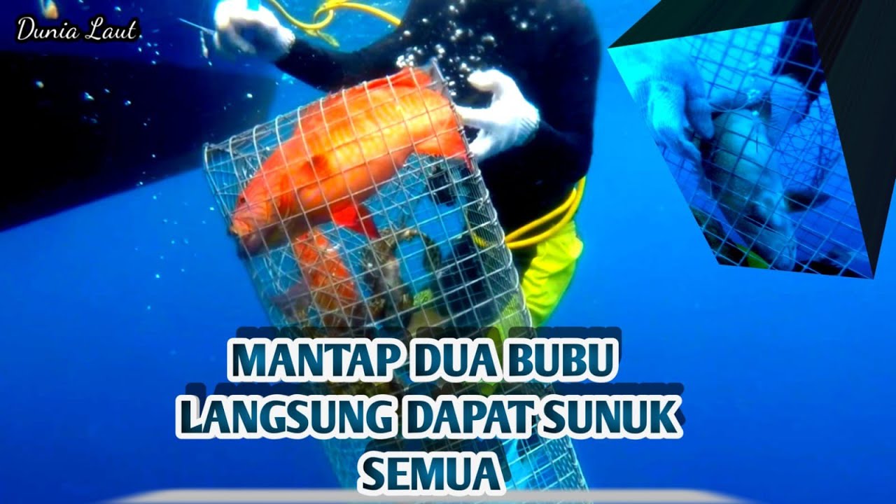 Auto HOKI, Pasang bubu dua-duanya dapat SUNU' semua