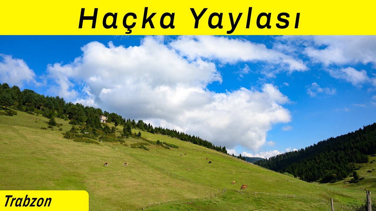 Trabzon Düzköy Haçka Yaylası | Haçkalı baba Yaylası | Honefter Yaylası