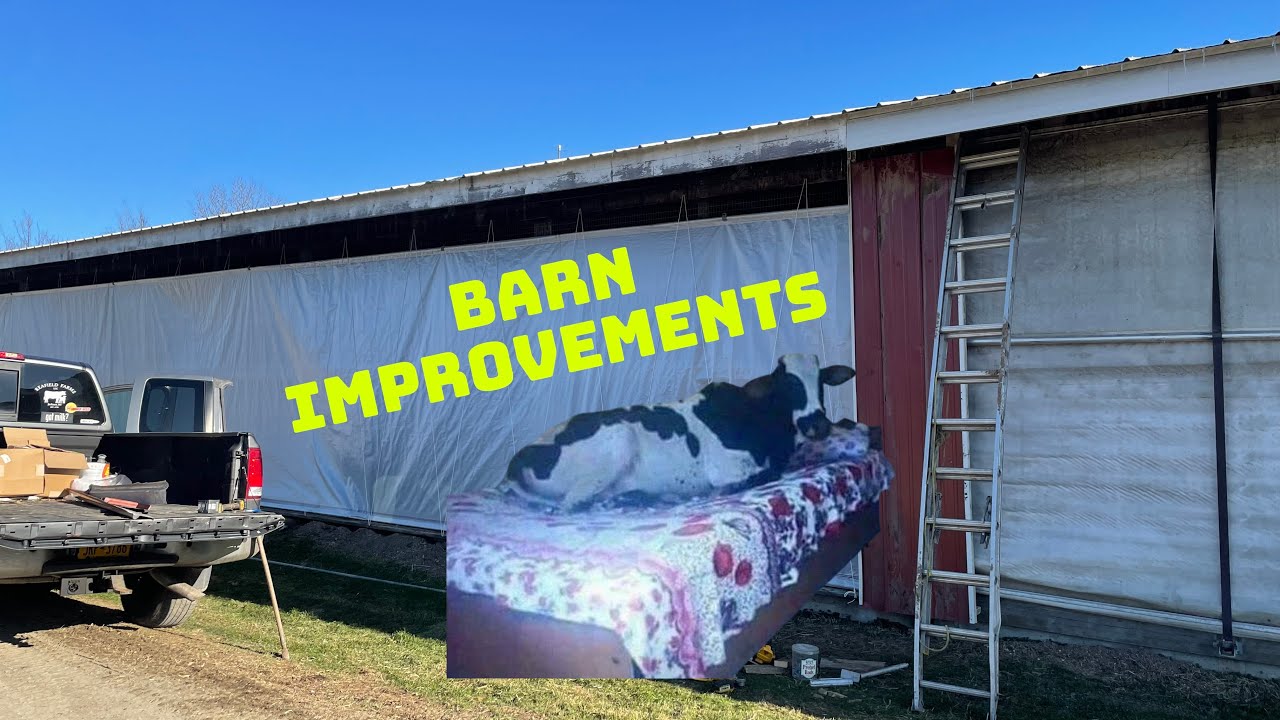 New WATERBEDS for the Cows? We installed 27 Bioret-Agri Water beds. Lots of barn improvements!