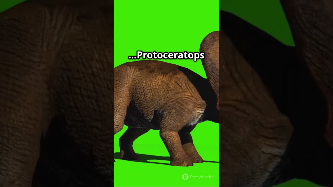 Why Protoceratops Was the Real Dino