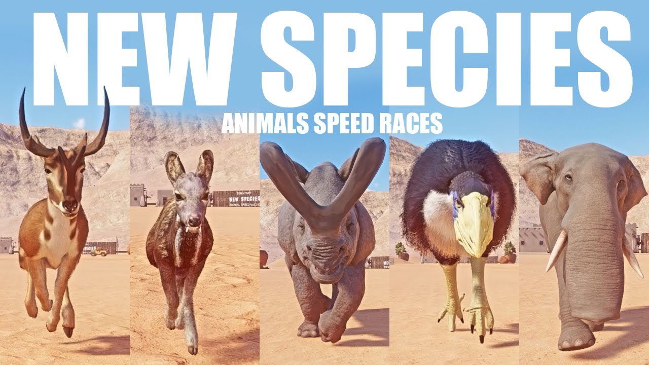 New Species Animals Races in Planet Zoo included Synthetoceras,  Siberian Musk Deer,  Brontotherium