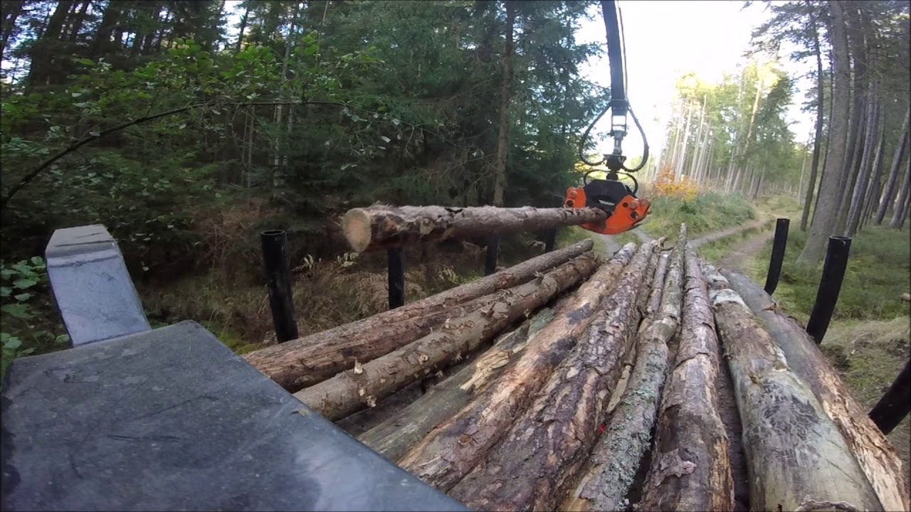 Holz transport 2018 mit Steyr 8100 und BMF Rückewagen