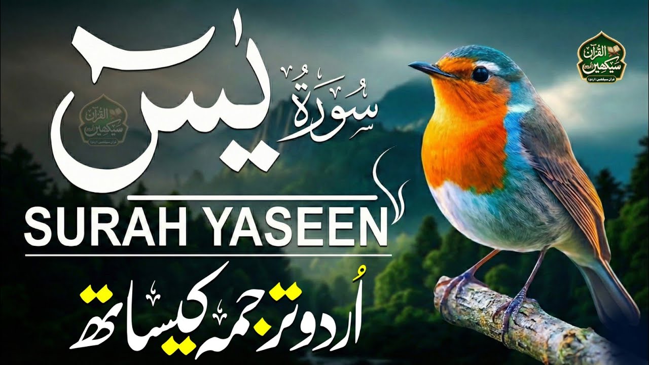 Surah Yasin | The Heart of the Holy Quran | WithUrduTranslation | Heart-Touching Recitation