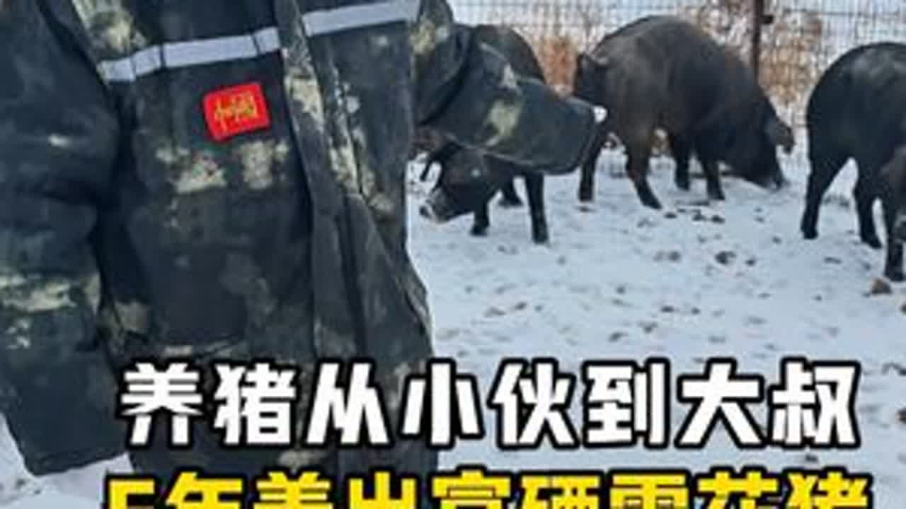 从精神小伙到猪圈大叔，5年养出富硒雪花猪，值了！ #土众豪笨养富硒猪肉 #土猪肉 #东北特色美食 #原生态养殖 #放心肉良心肉
