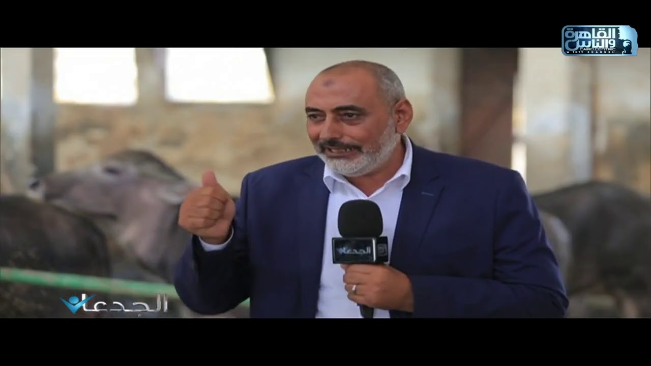 مصطفى محلاب:نجحت فى اعادة تشغيل المزرعة وزيادة عدد رؤوس الماشية من خلال قرض من البنك الأهلى المصرى