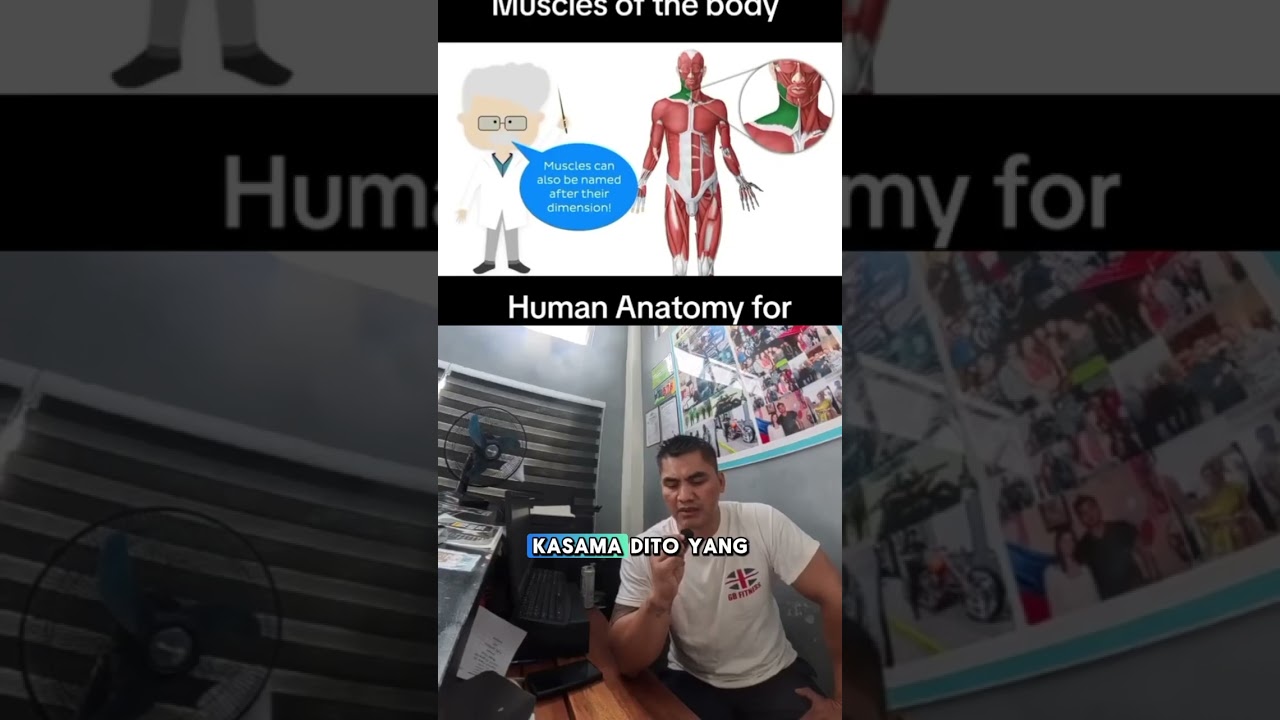 This vlog speaks about how I got the Personal Training  DIPLOMA thru NABBA. 