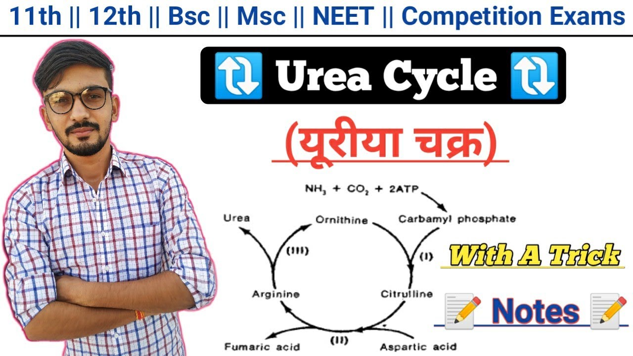 Urea Cycle With A Trick In Hindi || Biochemistry || Urea Cycle || By Dadhich Sir