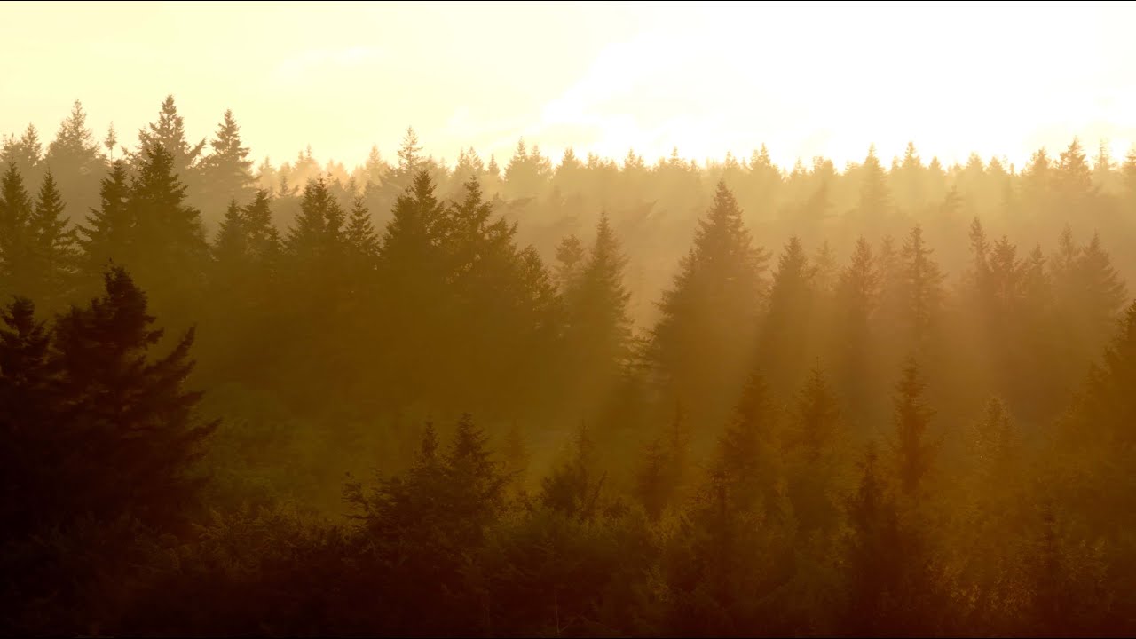 DJI Mavic 4 Pro 4K 25 fps cinematic drone video - Dronewatch