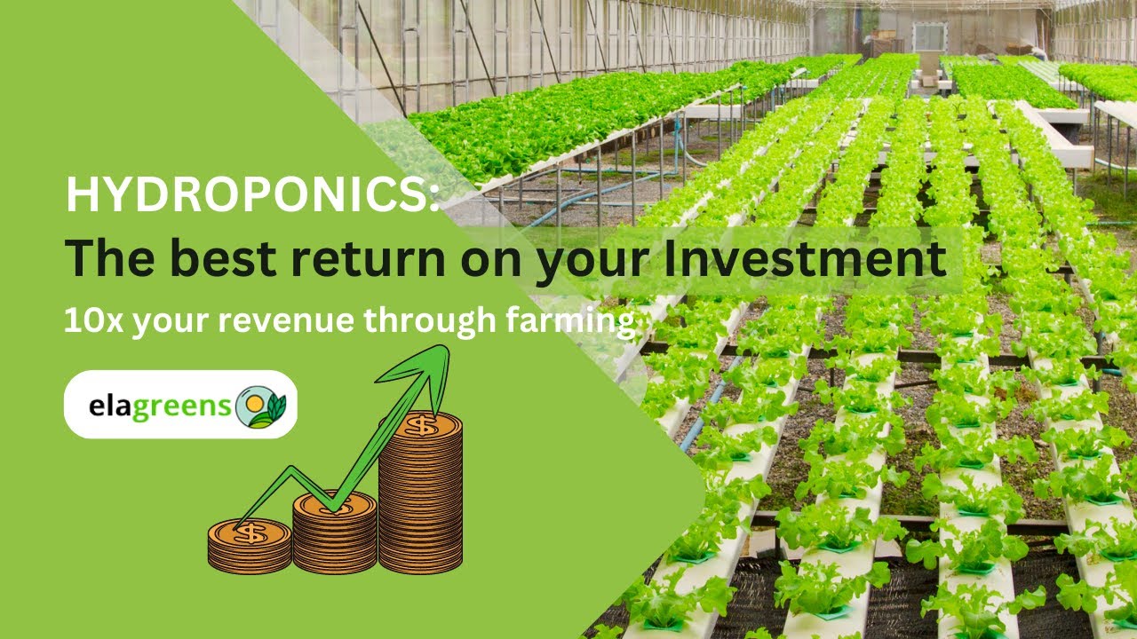 Hydroponics: The best return on Your #investment .10X your Revenue through #farming