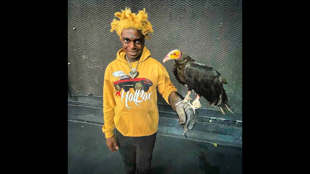 [FREE] Kodak Black Type Beat - 