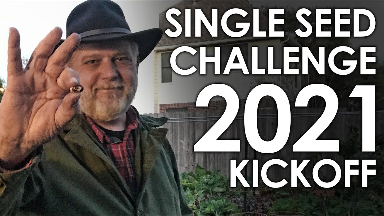 Single Seed Challenge 2021 KICKOFF! || Black Gumbo