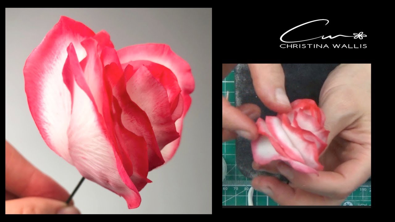 Sugar Rose How to Tutorial / Demo (2021) / Wallis Veiners