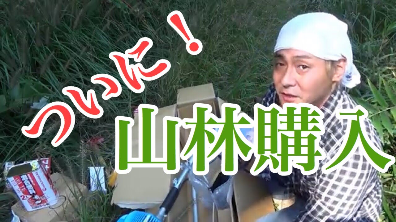 山林購入 開拓① 草刈り編