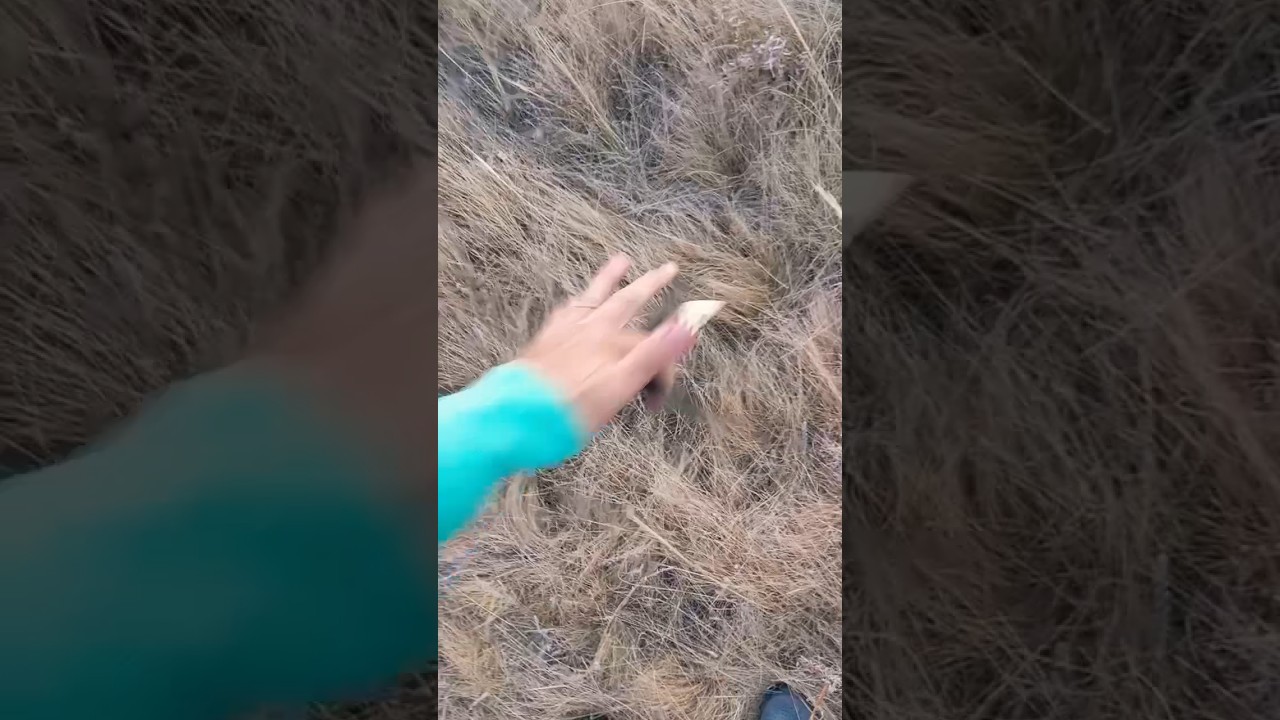 трюки з балісонгом ❤️😆