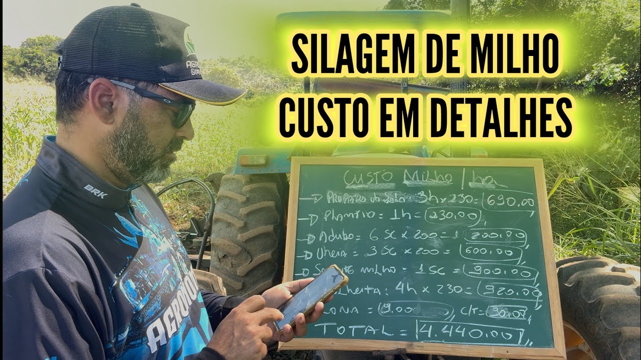 QUANTO CUSTA PRODUZIR 1 HECTARE DE MILHO SILAGEM