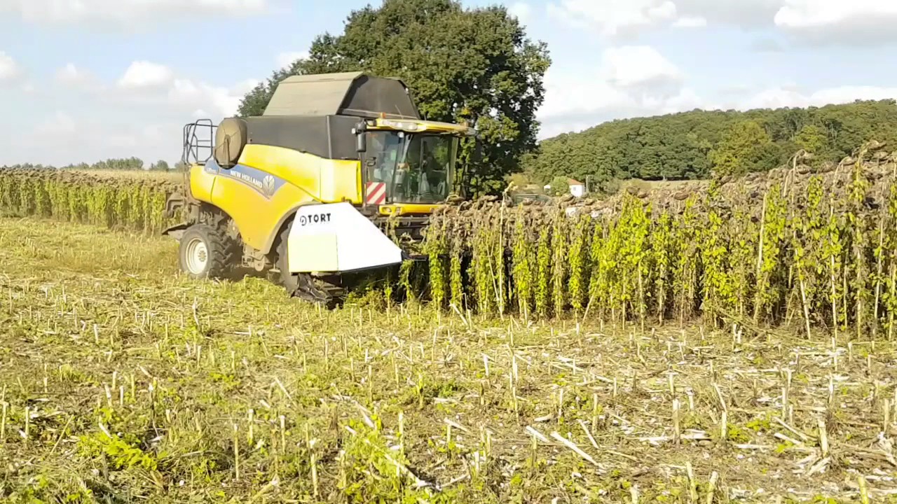 Coupe tournesol avec broyeur TORT LEROCH-DISTRIBUTION