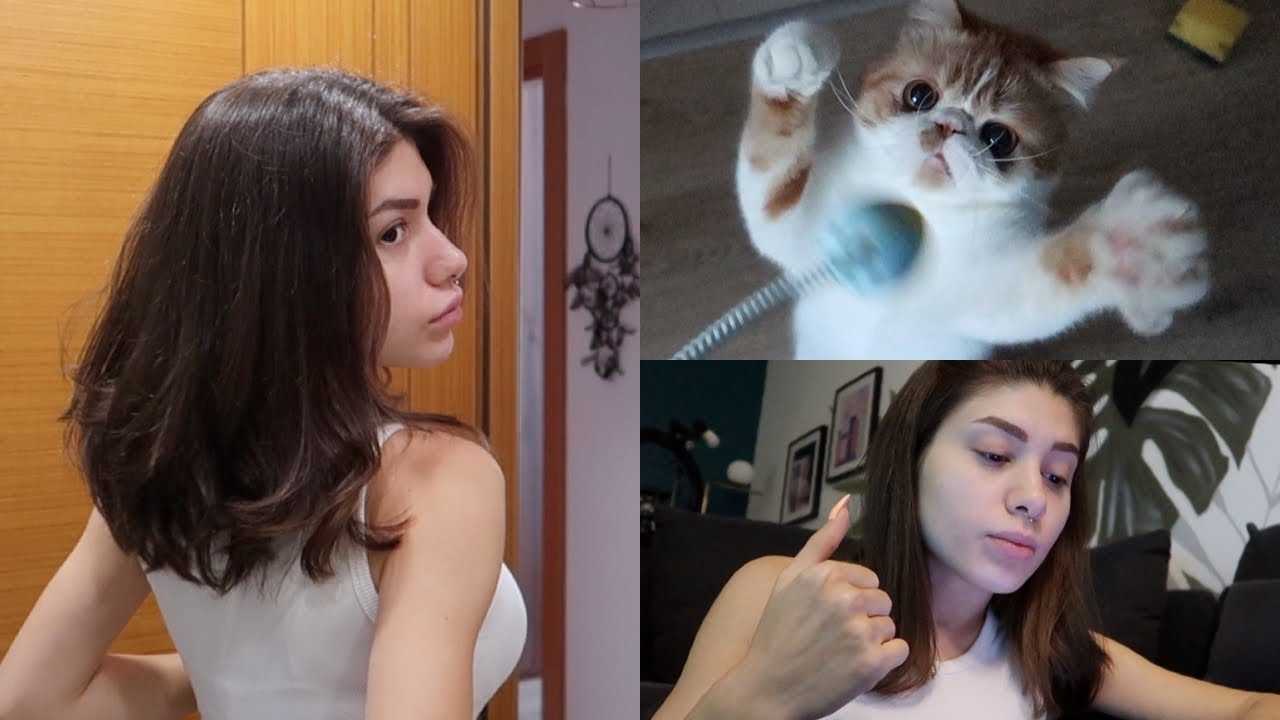 DERT ANLATMAYA GELDİM | FAZLACA KEDİ İÇERİR