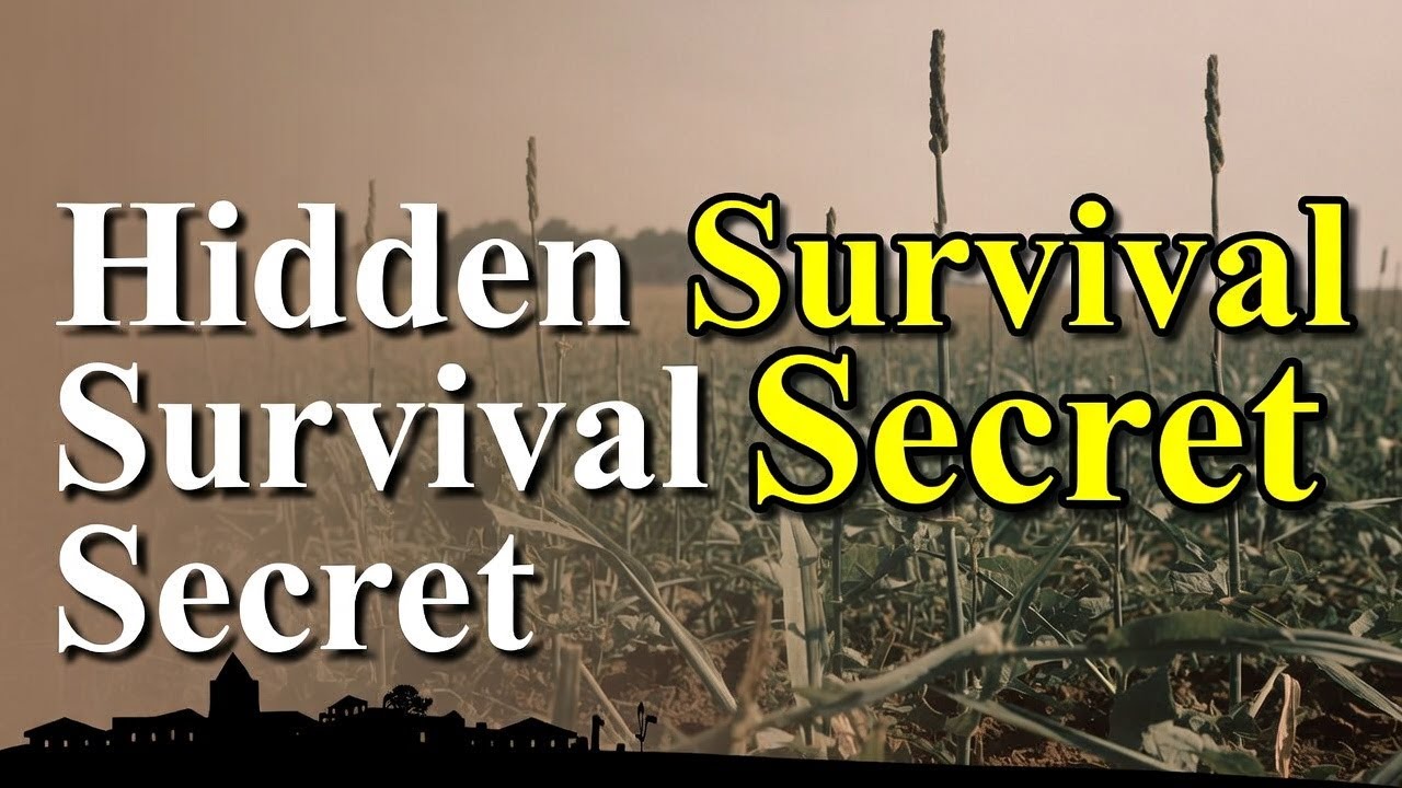 This WWII Plant Fed Thousands — And Then We Erased It From History