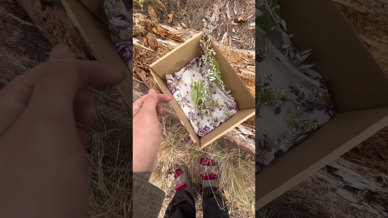 Lets make some wild tea! 🌿