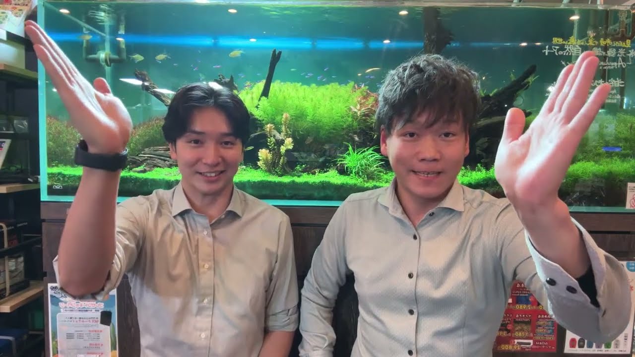 重大発表！トールマン第二章！【アクアリウムトールマン動画チャンネル！トールマンTV!】