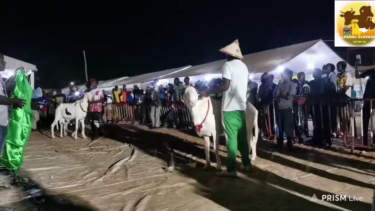 Foire Mboro, Soirée des Finals et Remise de Trophées
