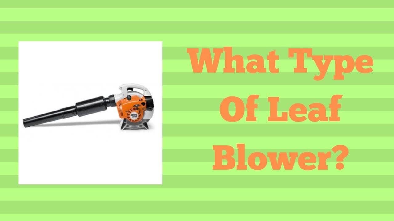 What Type Of Leaf Blower?