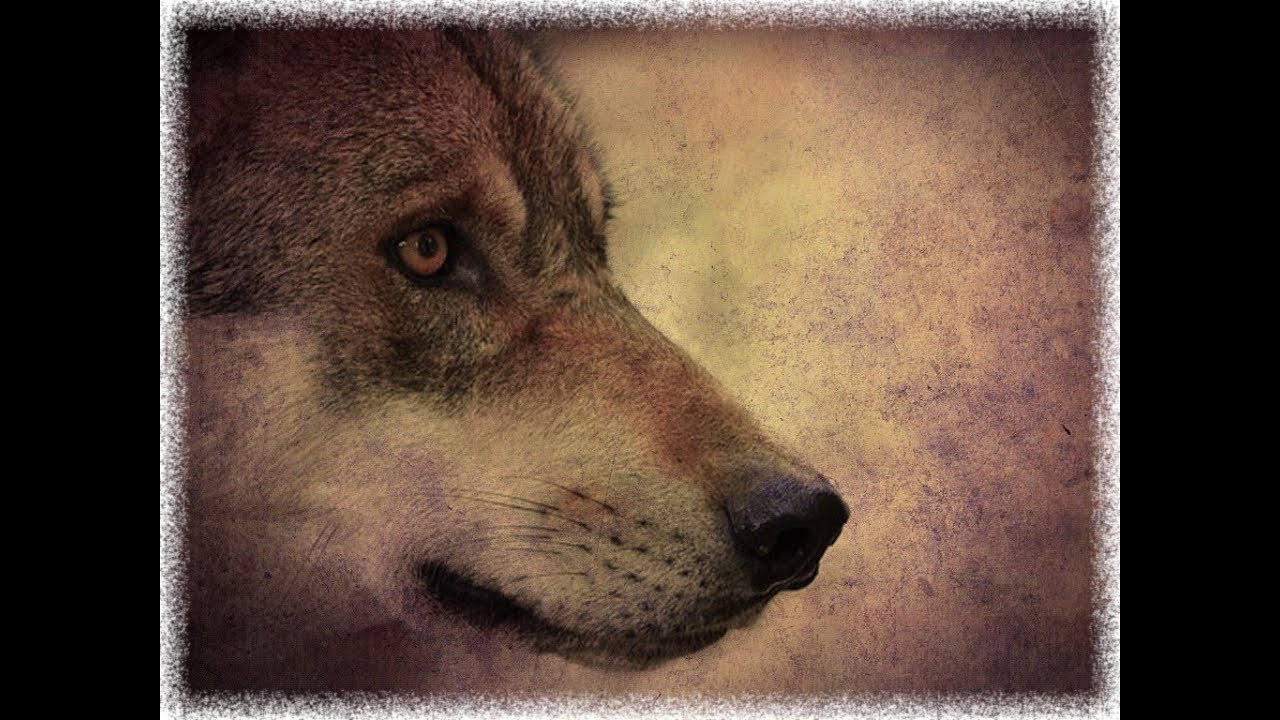 GIMP: Tuto 40 ( Modes de fusions )