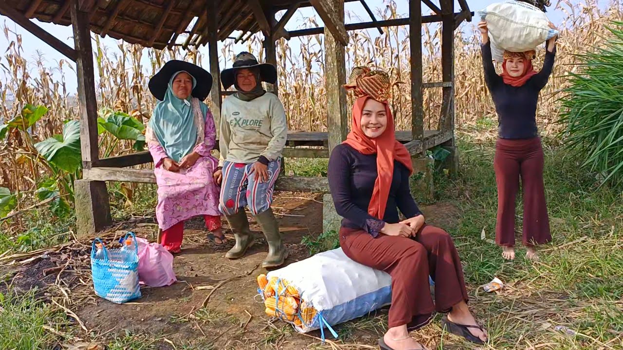 SALUTE !! JANDA CANTIK INI RELA NGULI ANGKUT BARANG BERAT NAIK GUNUNG TURUN GUNUNG DEMI LUNASI UTANG