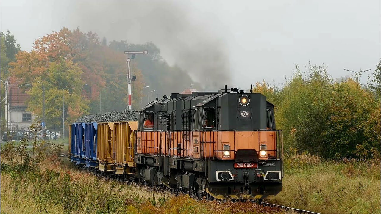 Duet koziołków i 15D w deszczowej Kamiennej Górze