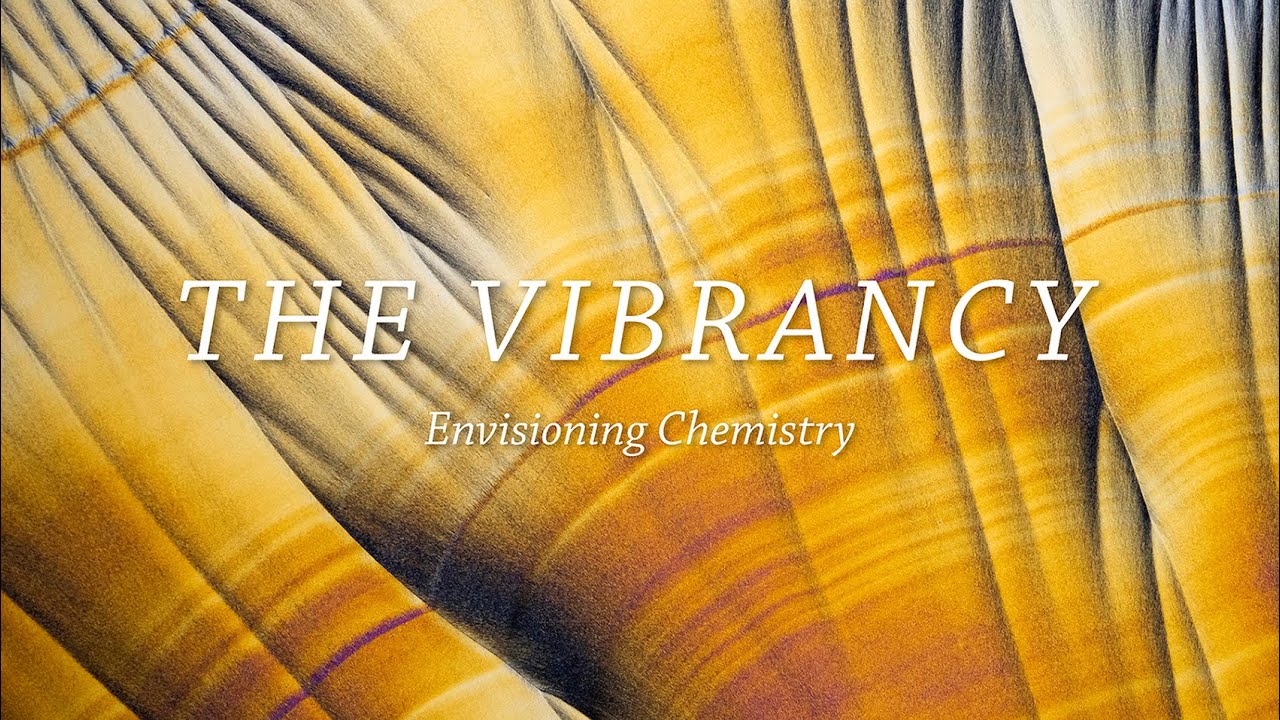 THE VIBRANCY