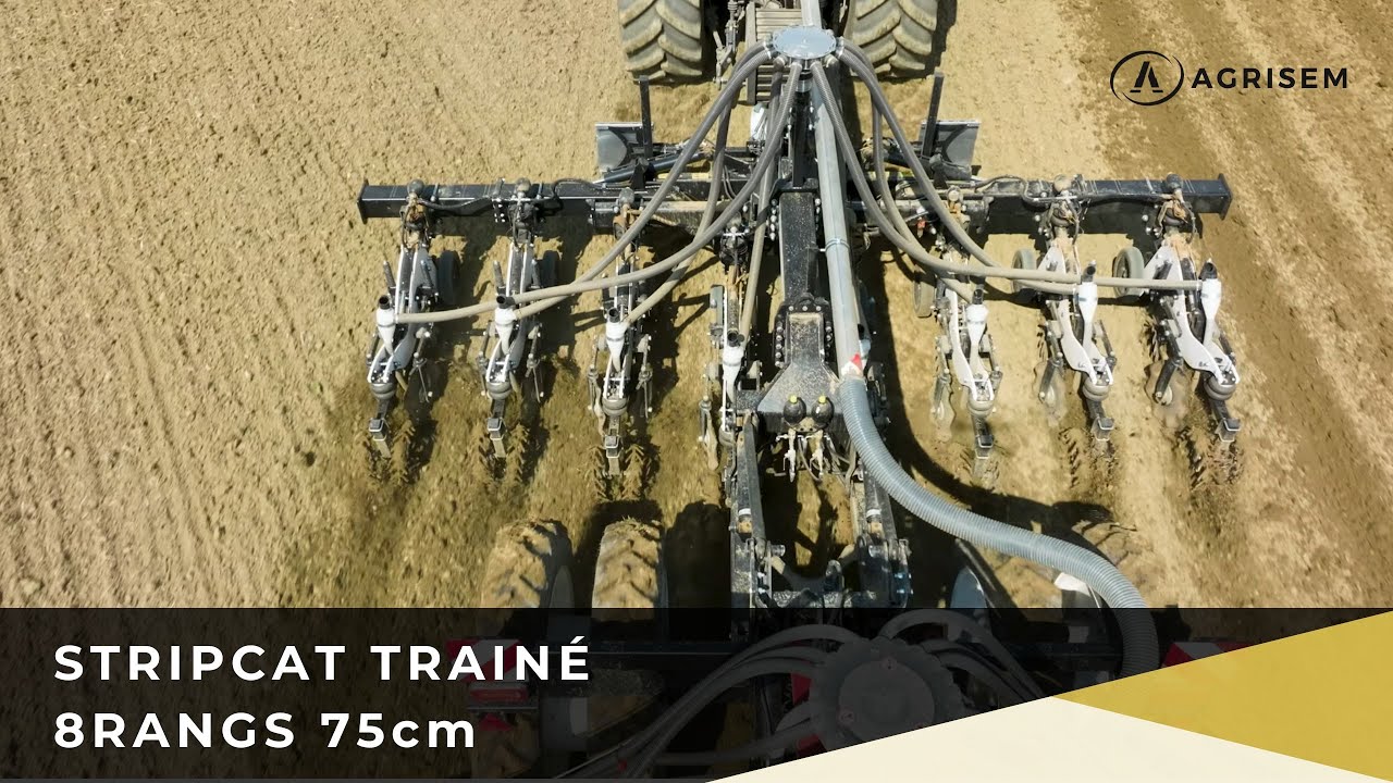 STRIPCAT 8RANGS TRAINÉ - AGRISEM INTERNATIONAL